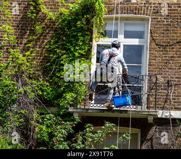 Arbeiter in Schutzausrüstung, der Fenster auf einem Balkon vor einem Ziegelgebäude mit Efeu reinigt Stockfoto