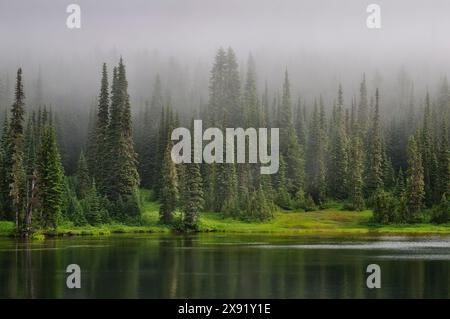 Clearing fog over Reflection Lake; Mount Rainier National Park, Washington. Stockfoto