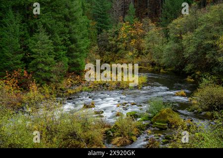 North Fork Middle Fork des Willamette River Willamette National Forest, Oregon. Oregon USA Copyright: XGregxVaughnx/xVWPicsx GV18100666 Stockfoto