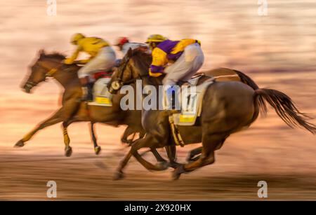 Pferde und Jockeys fahren am Sandstrand in der Abenddämmerung während des berühmten Sanlucar de Barrameda-Rennens. Stockfoto