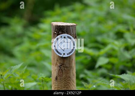 Ein Wegweiser für einen freizügigen Fußweg, bestehend aus einem Richtungspfeil auf einem runden weißen Sockel, der an einem Holzpfosten nach links gerichtet ist Stockfoto