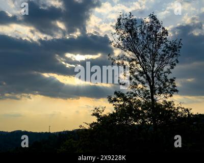 Wunderschöne abendliche Landschaft Blick auf die Shevaroy Hügel Seens vom Pagoda Point in Yercaud, Tamil Nadu Stockfoto