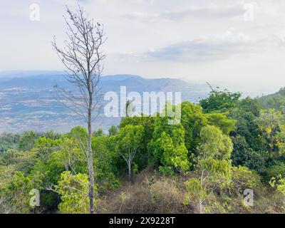 Wunderschöner Blick auf die Shevaroy-Hügel von Pagoda Point in Yercaud, Tamil Nadu Stockfoto