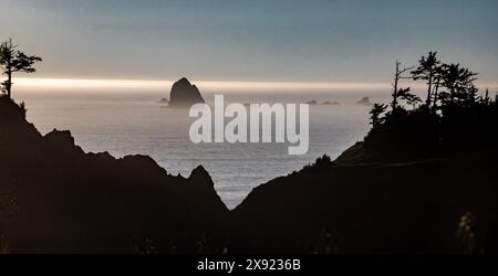 Meyer's Creek Beach liegt an der Südküste von Oregon und ist einer der schönsten Strände an der Westküste. Der Nebel beginnt den Strand zu verstecken. Stockfoto