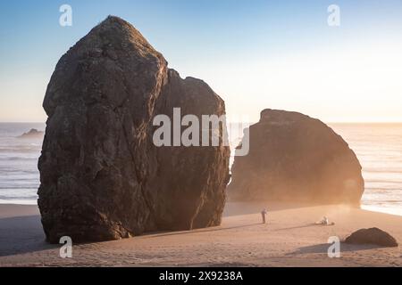 Meyer's Creek Beach liegt an der Südküste von Oregon und ist einer der schönsten Strände an der Westküste. Stockfoto