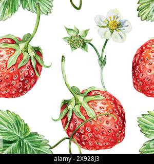 Nahtloses Erdbeermuster, Aquarellfarbe. Blumen, grüne Blätter und rote Beeren. Vektorabbildung. Für Verpackungspapier, Stoff, Tapeten, Textilien, Stock Vektor
