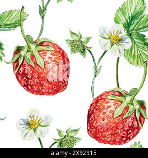 Nahtloses Erdbeermuster, Aquarellfarbe. Beeren, Blumen und Blätter. Vektorabbildung. Für Verpackungspapier, Stoff, Tapeten, Textilien, Abdeckungen, j Stock Vektor