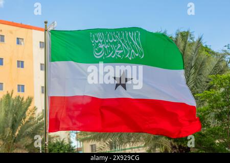 Grüne, weiße, rote Nationalflagge von Somaliland winkt im Wind, Hergeisa, Somaliland, Somalia Stockfoto