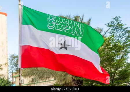 Grüne, weiße, rote Nationalflagge von Somaliland winkt im Wind, Hergeisa, Somaliland, Somalia Stockfoto