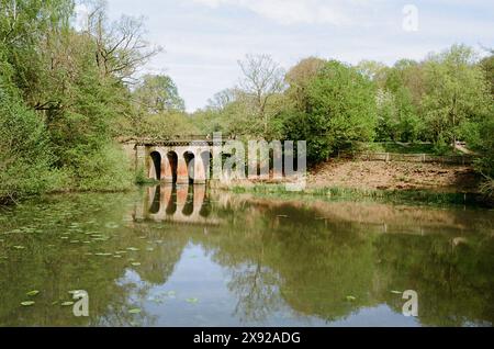 Der Viaduct Pond und die Viaduct Bridge auf der Hampstead Heath, London UK, im Frühling Stockfoto