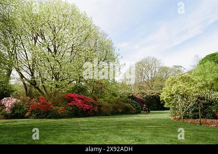 Gärten im Kenwood House im Frühling, Hampstead Heath, London, Großbritannien Stockfoto