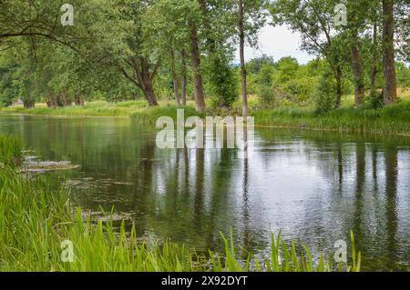 Wunderschöner Fluss Gacka, Blick flussabwärts Stockfoto