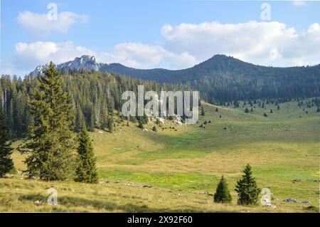 Wunderschönes Tal Veliki Lubenovac umgeben von Fichtenwald. Nationalpark Nördliches Velebit, Kroatien Stockfoto