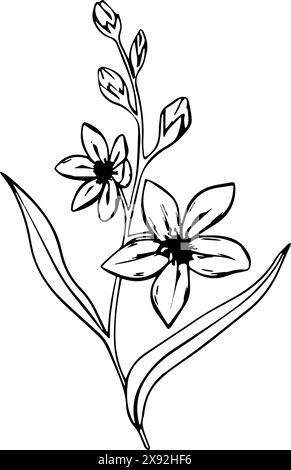 Vergiss mich, keine Blumen. Satz von Vektorgrafiken mit botanischen Linien. Von Hand gezeichnete Linie hinterlässt Zweige und blüht. Hochzeits-Wildblumen für Einladung speichern Stock Vektor