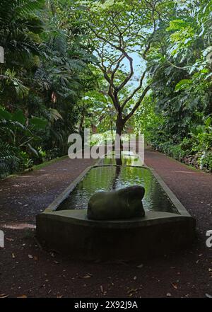 Blick hinunter auf einen dreistufigen Reflexionsteich mit Kieswegen und tropischem Regenwald auf beiden Seiten, auf die Allerton Gardens in Kauai, Hawaii, USA Stockfoto