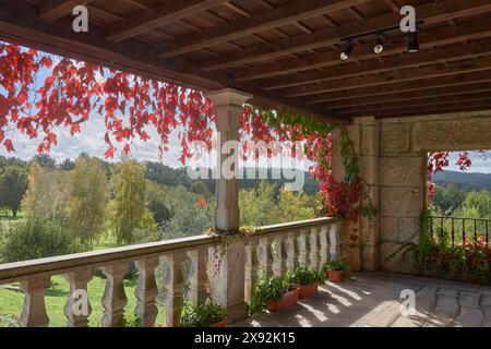 Ruhige Aussicht auf eine mit leuchtenden roten Blättern geschmückte Landterrasse mit Blick auf eine üppige Landschaft unter klarem blauem Himmel Stockfoto