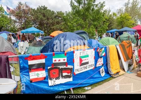 Detroit, Michigan, USA. Mai 2024. Ein Zeltlager, das von Studenten der Wayne State University in Solidarität mit den Opfern der israelischen Bombardements in Gaza errichtet wurde. Die Universität antwortete, indem sie den Unterricht bis auf weiteres ablehnte. Quelle: Jim West/Alamy Live News Stockfoto