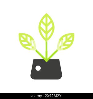 Pflanze mit drei Blättern auf Stielen in Vase, schwarze und grüne Linie Symbol Vektor Illustration Stock Vektor
