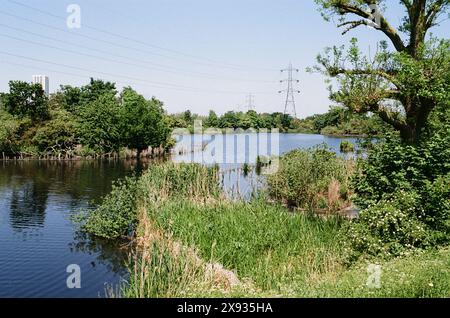 Stausee auf den Walthamstow Wetlands im späten Frühling, Blick in Richtung Tottenham Hale, London, Großbritannien Stockfoto