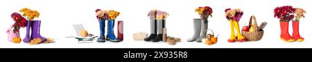 Set Gummistiefel mit Herbstblumen auf weißem Hintergrund Stockfoto