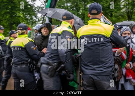 Den Haag, Südholland, Niederlande. Mai 2024. Niederländische Polizeibeamte wenden Gewalt gegen pro-palästinensische Demonstranten an. Am 28. Mai 2024 protestierten pro-palästinensische Demonstranten vor dem niederländischen Repräsentantenhaus Tweede Kamer. Das Leid dieser Demonstranten war die Selbstzufriedenheit der niederländischen Regierungen mit dem jüngsten Bombenanschlag in Rafah, bei dem 45 vertriebene Palästinenser ums Leben kamen. (Kreditbild: © James Petermeier/ZUMA Press Wire) NUR REDAKTIONELLE VERWENDUNG! Nicht für kommerzielle ZWECKE! Stockfoto