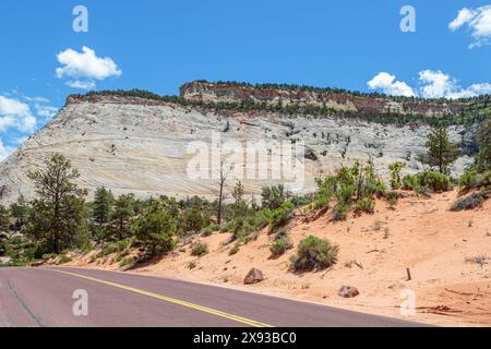 Muster der Erosion am felsigen Berghang entlang des Zion Park Boulevard im Zion National Park, Utah Stockfoto