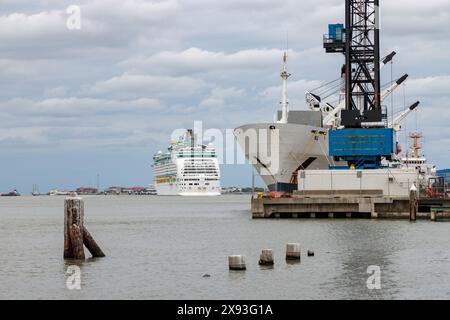 Royal Caribbean Adventure of the Seas Kreuzfahrtschiff und Frachtschiff im Hafen von Glaveston, Texas Stockfoto