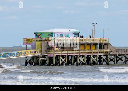 Pelicans und The Shark Bar am 61st Street Fishing Pier an der Texas Gulf Coast in Galveston, Texas Stockfoto