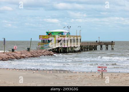 Pelicans und The Shark Bar am 61st Street Fishing Pier an der Texas Gulf Coast in Galveston, Texas Stockfoto