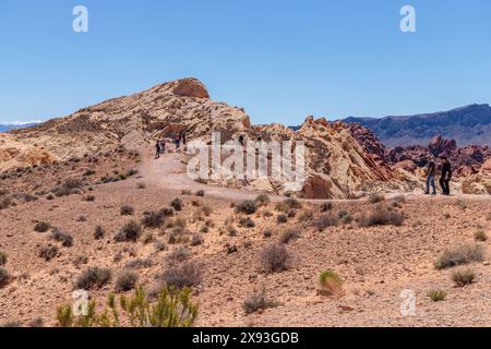 Wanderer auf dem Weg zu einem Aussichtspunkt am Ende der Fire Canyon Road im Valley of Fire State Park in der Nähe von Overton, Nevada Stockfoto