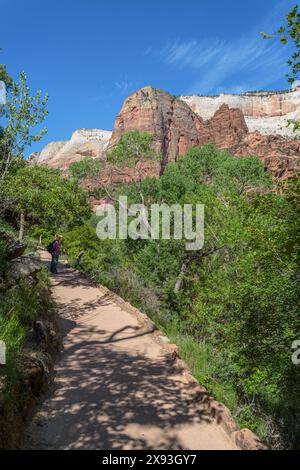 Weibliche Touristen, die Felsformationen und Vegetation entlang des Weeping Rock Trail im Zion National Park, Utah, bewundern Stockfoto