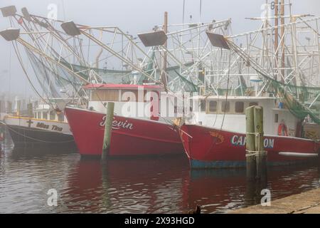 Kommerzielle Garnelenboote am Dock im Gewerbegebiet des Biloxi Small Craft Harbor in Biloxi, Mississippi Stockfoto