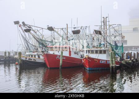 Kommerzielle Garnelenboote am Dock im Gewerbegebiet des Biloxi Small Craft Harbor in Biloxi, Mississippi Stockfoto