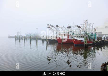 Kommerzielle Garnelenboote am Dock im Gewerbegebiet des Biloxi Small Craft Harbor in Biloxi, Mississippi Stockfoto