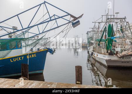 Kommerzielle Garnelenboote am Dock im Gewerbegebiet des Biloxi Small Craft Harbor in Biloxi, Mississippi Stockfoto