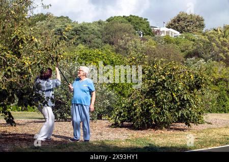 Bild von Tim Cuff. 14. März 2024: Allison Ferrero sucht mit ihrer Mutter Beryl in einem kleinen Gr Stockfoto