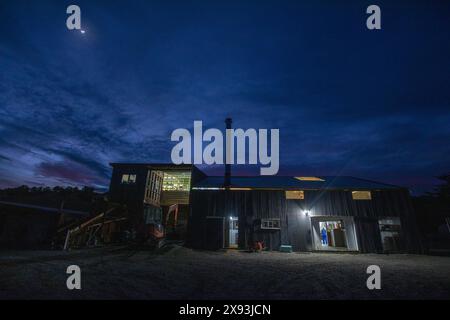 Hopfenernte, Wakefield, Neuseeland Stockfoto