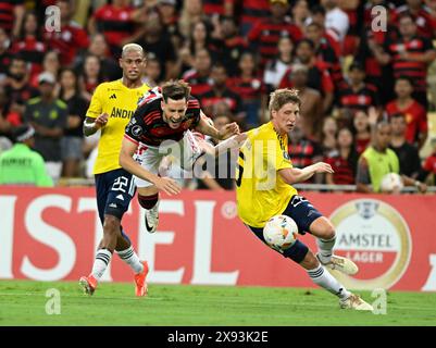 Copa Libertadores - Flamengo vs Millonarios, Rio de Janeiro, Brasilien - 29. Mai 2024 Stockfoto