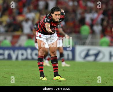 Copa Libertadores - Flamengo vs Millonarios, Rio de Janeiro, Brasilien - 29. Mai 2024 Pedro von Flamengo feiert nach einem Treffer während einer Copa Libertadore Stockfoto