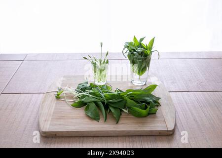 Allium ursinum, Bärenknoblauch, Ail des ourses. Pflanzliche, medizinische Pflanze, die in der Natur während des Frühlings wächst. Frische, vegane, gesunde, entgiftete Blume. In allen s Stockfoto