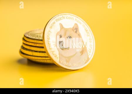 Goldene dogecoin-Münze. Kryptowährung dogecoin. Doge Kryptowährung auf gelbem Hintergrund. Stockfoto