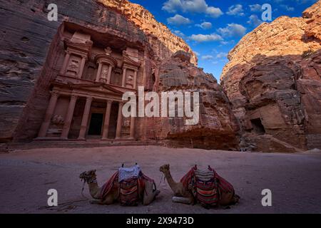 Zwei Kamel-Dromedar, Schatzkammer Al-Khazneh, Steinfelsen, historisches Petra. Reisen Sie Jordanien, Arabien Urlaub. Abendlicht in der Natur, Jordan. Steinfelsenrot La Stockfoto