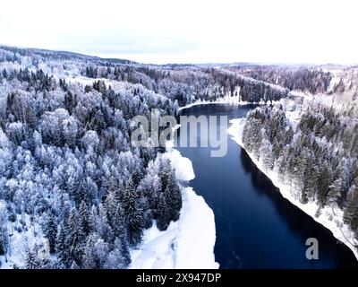 Aus der Vogelperspektive auf einen schneebedeckten Fluss, der sich durch einen dichten Wald schlängelt und die Schönheit des Winters zeigt. Stockfoto