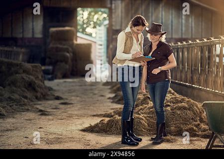 Frauen, Clipboard und checken Sie gemeinsam in der Scheune nach Reinigungsplan, Teamarbeit und Überprüfung. Bauernfrauen, Diskussion und Notizen in Stall für die Landwirtschaft Stockfoto