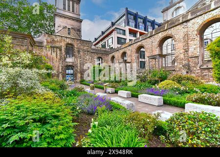 Christchurch Greyfriars Kirche und Garten und Sträucher im Garten im Frühling Stockfoto