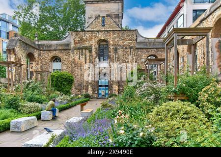 Christchurch Greyfriars Church and Garden London und der fruchtbare Garten in Springtime Stockfoto