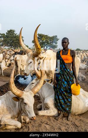 Frau posiert mit riesigen, langen Hornkühen, Mundari-Stamm, Südsudan, Afrika Stockfoto