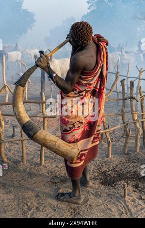 Mann, der ein massives Kuhhorn bläst, um den Kühen zu signalisieren, dass sie zurückkommen, Mundari-Stamm, Südsudan, Afrika Stockfoto