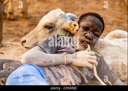 Staubiger Mundari-Junge, der auf einer kleinen Kuh liegt, Mundari-Stamm, Südsudan, Afrika Stockfoto