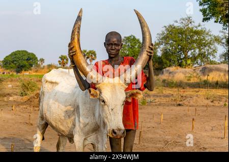 Mundari-Junge posiert mit einer langen Hornkuh, Mundari-Stamm, Südsudan, Afrika Stockfoto